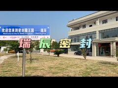 Ballon en caoutchouc fluoré solide pour l'étanchéité dans des environnements à haute température et corrosifs